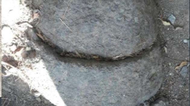 The find is significant, they claimed, as it could lead to the discovery of the Buddhist monastery Budhh Vihar after which the lake is believed to have been named. (HT photo) The find is significant, they claimed, as it could lead to the discovery of the Buddhist monastery Budhh Vihar after which the lake is believed to have been named. (HT photo)