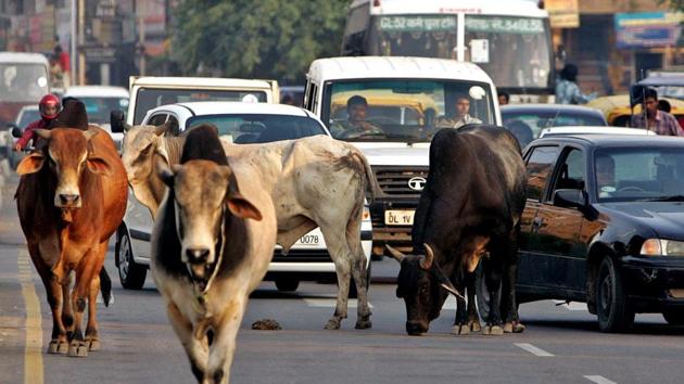 The driver of the police’s Dial 100 jeep lost control of the vehicle in an effort to save a cow.(REUTERS Representative photo)