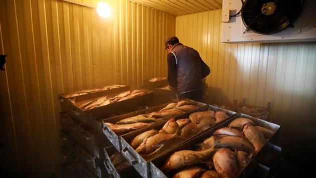 A local resident Galymzhan works at a fish sorting factory in the village of Bogen. The return of commercial fishing has also created jobs at processing facilities where fish is sorted and frozen. Some families earn their living by importing and selling motorboats. (Shamil Zhumatov / REUTERS) 