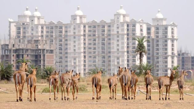 With development and infrastructure upgrade in Chandigarh, SAS Nagar, Panchkula and the periphery, green cover is receding; officials claim that there is no significant dip in the tree count (Anil Dayal/HT Photo) With development and infrastructure upgrade in Chandigarh, SAS Nagar, Panchkula and the periphery, green cover is receding; officials claim that there is no significant dip in the tree count (Anil Dayal/HT Photo)