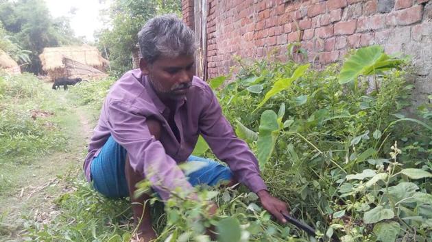 Pradip Halder working in his village. He earns around Rs 4,000 a month. (HT Photo) Pradip Halder working in his village. He earns around Rs 4,000 a month. (HT Photo)