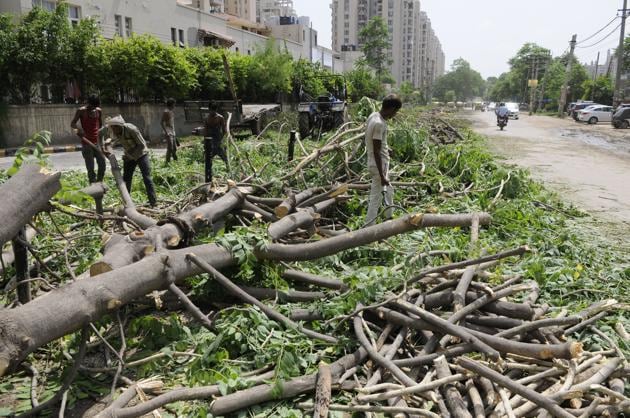 Plantation drives were conducted in Gurgaon on World Environment Day in a bid to arrest the city’s depleting green cover. (FILE PHOTO) Plantation drives were conducted in Gurgaon on World Environment Day in a bid to arrest the city’s depleting green cover. (FILE PHOTO)