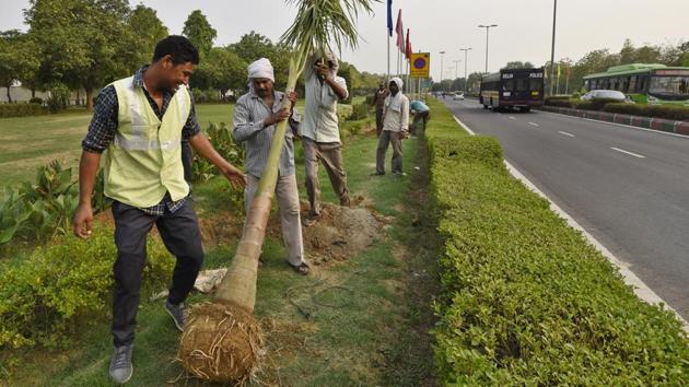 ‘Not all trees would be suited for Delhi. Any tree which would do well on the roadside without much care can be safely concluded to be apt for Delhi’s ecology and climate. Trees which make the city look beautiful may not necessarily be suited,’ said Prabhakar Rao, member of Kalpavriksha Environment Action Group. (Vipin Kumar / HT Photo) ‘Not all trees would be suited for Delhi. Any tree which would do well on the roadside without much care can be safely concluded to be apt for Delhi’s ecology and climate. Trees which make the city look beautiful may not necessarily be suited,’ said Prabhakar Rao, member of Kalpavriksha Environment Action Group. (Vipin Kumar / HT Photo)