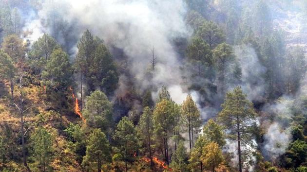 Forest officials are praying for rain as it helps in containing wildfires which peaked in summer.(HT File)