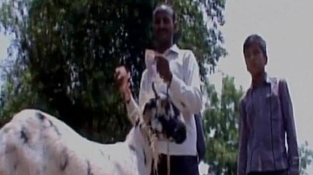 The farmer with his goat.(ANI Twitter) The farmer with his goat.(ANI Twitter)