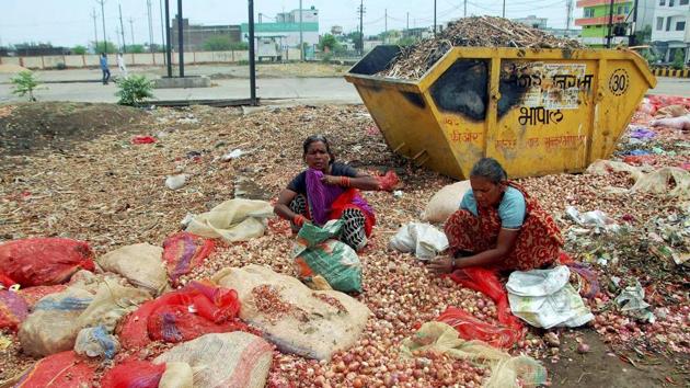 Women sorting out onions which were thrown on the roads by the agitating farmers in Bhopal on Tuesday.(PTI Photo) Women sorting out onions which were thrown on the roads by the agitating farmers in Bhopal on Tuesday.(PTI Photo)