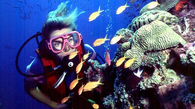 A diver swims in Australia's Great Barrier Reef. (Brian Cassey/AP)