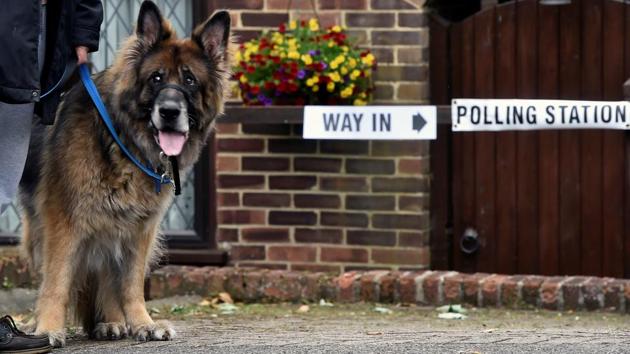A voter arrives with his dog at a private garage which is being used as a polling station in Coulsdon. (REUTERS) A voter arrives with his dog at a private garage which is being used as a polling station in Coulsdon. (REUTERS)