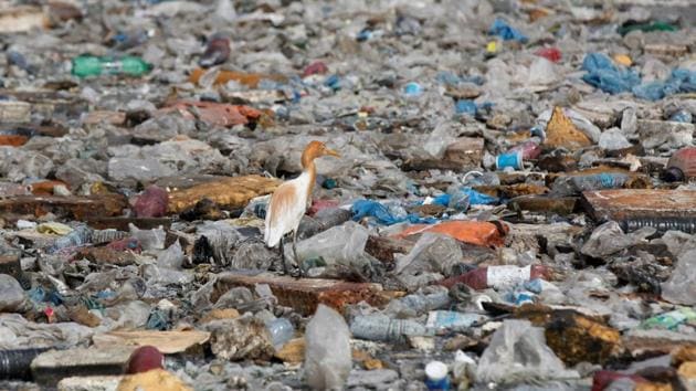A migratory bird rests amid garbage dumped along sea waters in Karachi, Pakistan. (Akhtar Soomro/REUTERS)