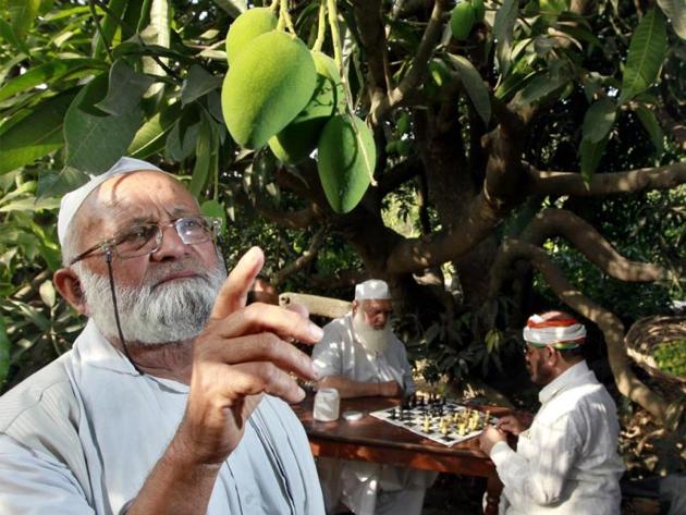 Padmashri Haji Kaleemullh Khan, the ‘mango maharaja’ of Malihabad (Raj K Raj / HT Photo) Padmashri Haji Kaleemullh Khan, the ‘mango maharaja’ of Malihabad (Raj K Raj / HT Photo)