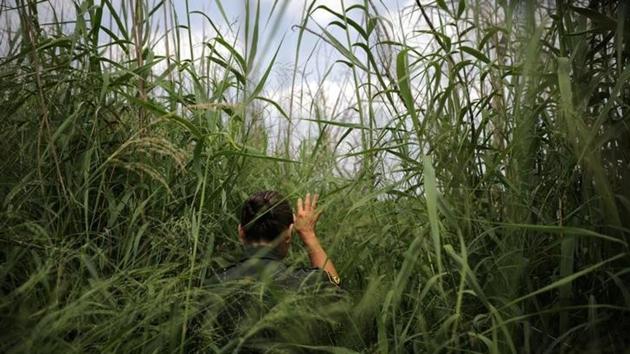 A U.S. border patrol agent patrols a trail along the Rio Grande river at the border between United States and Mexico, in Roma, Texas, United States. Last fall, during the waning months of the Obama administration, hundreds of immigrants crossed the river each day, many willingly handing themselves over to immigration authorities in hopes of being released into the United States to await court proceedings that would decide their fate. Now, the agents look out on an empty landscape. The reason for the change is a perception in Mexico and Central America that President Donald Trump has ended the practice known as “catch-and-release” as would-be border violators know “they’ll be detained and then turned right back around.” (REUTERS) A U.S. border patrol agent patrols a trail along the Rio Grande river at the border between United States and Mexico, in Roma, Texas, United States. Last fall, during the waning months of the Obama administration, hundreds of immigrants crossed the river each day, many willingly handing themselves over to immigration authorities in hopes of being released into the United States to await court proceedings that would decide their fate. Now, the agents look out on an empty landscape. The reason for the change is a perception in Mexico and Central America that President Donald Trump has ended the practice known as “catch-and-release” as would-be border violators know “they’ll be detained and then turned right back around.” (REUTERS)