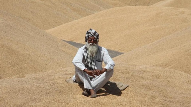 HT Representative Image HT Representative Image