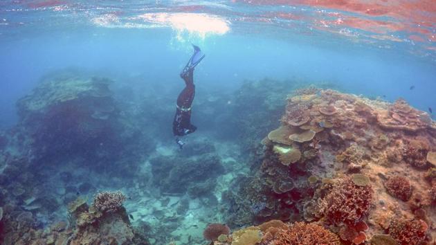 The event is partly caused by the strong El Nino weather system with global warming remaining the underlying cause. (David Gray / REUTERS File) 