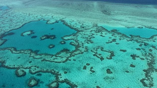 An aerial view of the Great Barrier Reef along the central coast of Queensland. Coral bleaching is expected  to accelerate unless global greenhouse gas emissions are cut.  (Sarah LAI / AFP File) 