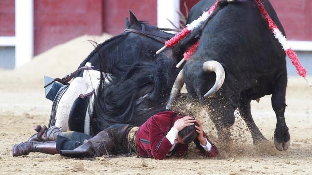 French rejoneadora Lea Vicens prtoectsher head after being hurled into the air by a bull during the San Isidro Feria at Las Ventas bullring in Madrid. (ALBERTO SIMON / AFP)