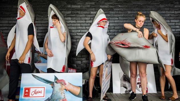 A shark fin activist (2nd R) puts a shark suit on to protest Maxim's flag ship restaurant 'Maxim's Palace', the largest Chinese restaurant group, for selling threatened and endangered shark species in Hong Kong. Dozens of activists dressed in bloody shark costumes laid in front of the entrance of one of Hong Kong's most popular restaurants to protest against the finning of the marine predators. (ISAAC LAWRENCE/ AFP)