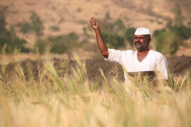 Farmer Gulab Hande from Maval taluka in Pune district who will get a loan waiver of Rs 50,000.(Hemant Padalkar/HT Photo) Farmer Gulab Hande from Maval taluka in Pune district who will get a loan waiver of Rs 50,000.(Hemant Padalkar/HT Photo)