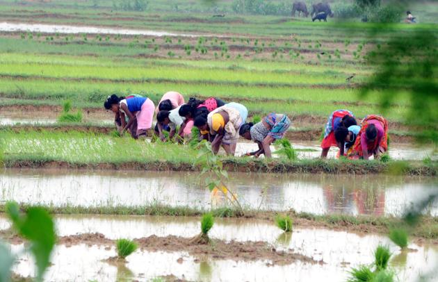 The farmers’ outfits, while negotiating with the state, had demanded immediate monetary help for farmers for the sowing of kharif crop.(HT file)
