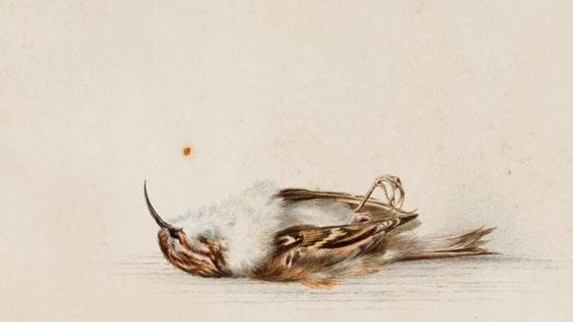 A 118-year-old watercolour painting was discovered inside a hut in Antarctica. (Photo: @InspireExplore on Twitter) A 118-year-old watercolour painting was discovered inside a hut in Antarctica. (Photo: @InspireExplore on Twitter)