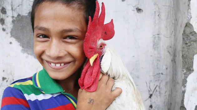 Mithun with his pet rooster Tippu. (Mayank Austen Soofi / HT Photo) Mithun with his pet rooster Tippu. (Mayank Austen Soofi / HT Photo)