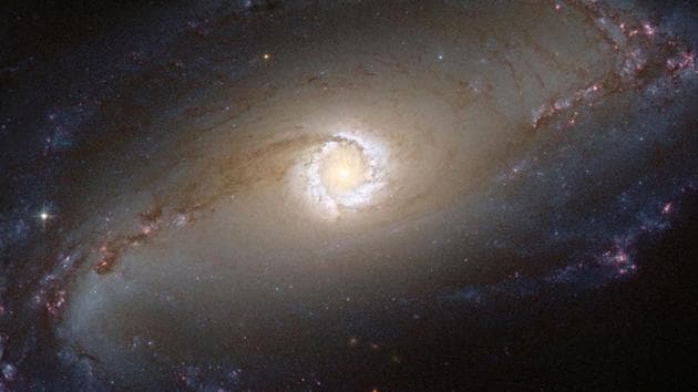 FILE PHOTO: NASA/ESA Hubble Space Telescope image showing the bright star-forming ring that surrounds the heart of the barred spiral galaxy NGC 1097. (REUTERS) FILE PHOTO: NASA/ESA Hubble Space Telescope image showing the bright star-forming ring that surrounds the heart of the barred spiral galaxy NGC 1097. (REUTERS)