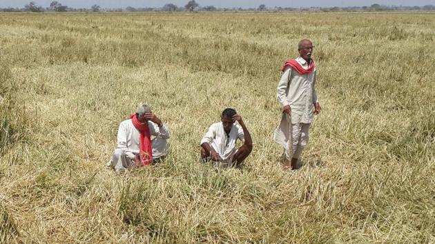 Farmers in Jodhpur and Alwar have decided to join the farmers’ movement and will protest on June 16.(HT File Photo) Farmers in Jodhpur and Alwar have decided to join the farmers’ movement and will protest on June 16.(HT File Photo)
