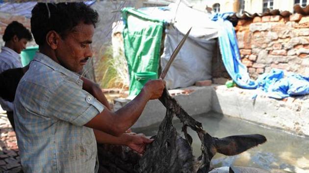 These tanneries cluster in Jajmau area of Kanpur employ over two million people.(HT File Photo)