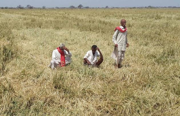 The farmers, who launched an agitation in Rajasthan, demanded purchase of crops at MSP and implementation of the Swaminathan commission recommendations, among others. (HT File Photo) The farmers, who launched an agitation in Rajasthan, demanded purchase of crops at MSP and implementation of the Swaminathan commission recommendations, among others. (HT File Photo)