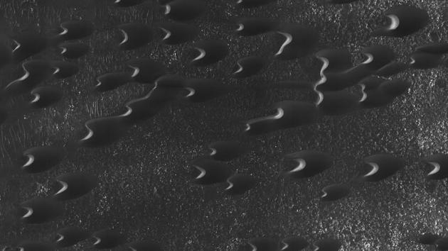 Sand dunes are scattered across Mars just west of the Hellas impact basin.