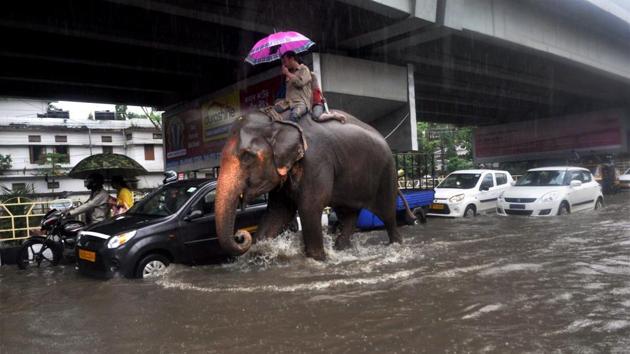 A mahout on an elephant navigates a flooded street in Bhangargarh following a heavy shower in Guwahati . (PTI) A mahout on an elephant navigates a flooded street in Bhangargarh following a heavy shower in Guwahati . (PTI)