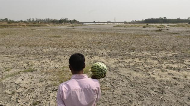 Famed for its unique flavour, the produce from the banks of the Yamuna would bring in up to 25,000 rupees per acre. The drying up of the river has affected the farmers’ ability to repay their loans and sustain livelihood. (Burhaan Kinu/HT PHOTO)