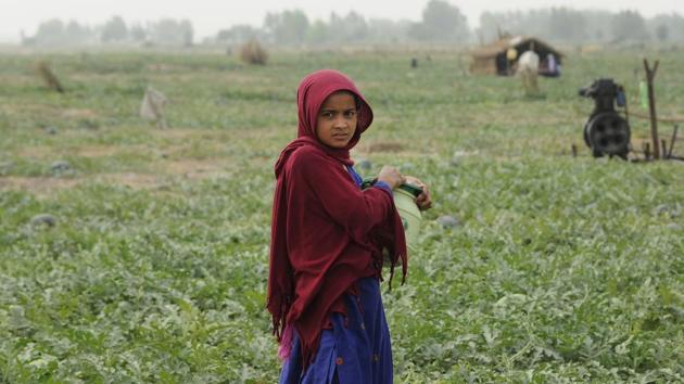 Perhaps the biggest casualty are the children who migrate along with their families. They don’t go to school, are stuck spending their days by the riverbank and return to their native villages after the produce has been sold. (Burhaan Kinu/HT PHOTO)