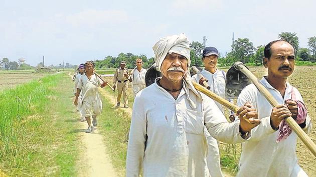 The inmates, called shivir wasis, live in huts on the fields and guard the crops at night. Sugarcane, wheat and rice are grown over around 200 acres of land by them. (HT Photo) The inmates, called shivir wasis, live in huts on the fields and guard the crops at night. Sugarcane, wheat and rice are grown over around 200 acres of land by them. (HT Photo)