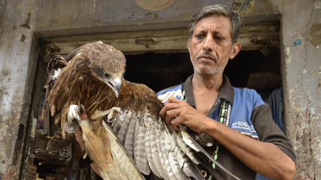 In a narrow lane winding up a dark alley on Sultanwind Road, Amritsar, 56-year-old Pardeep Kumar has played companion to injured and abandoned animals, largely birds, since 50 years. (Sameer Sehgal/HT Photo)
