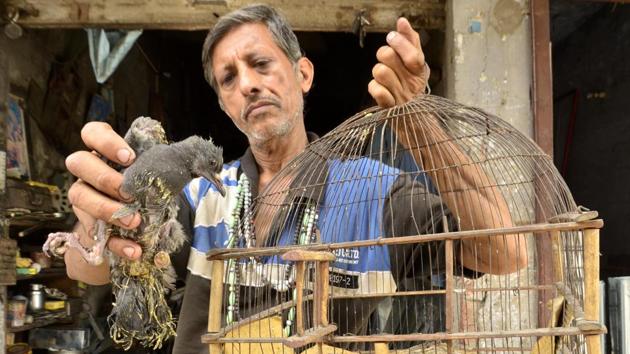 Pardeep Kumar was just six-year-old when his father Madan Lal taught him to love and treat the birds and animals who to there door step and since then he is performing this selfless duty which he defines as “I am born to repair ,treat, feed, love and keep them in my shelter.” (Sameer Sehgal/HT Photo)