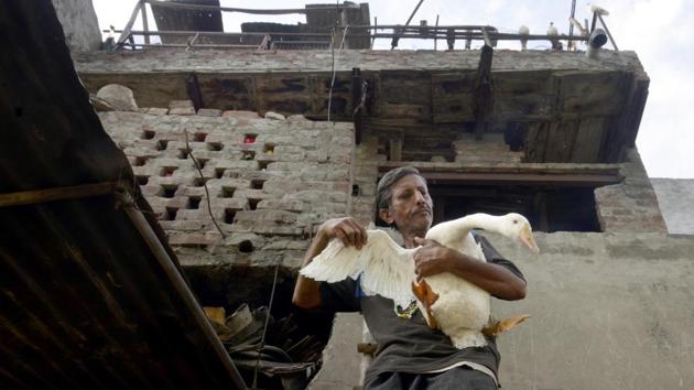 This trunk maker after welding his trunks in the day time spend time with them his pets , feeds them and at times if any of his pet needs him he goes home at midnight. (Sameer Sehgal/HT Photo)