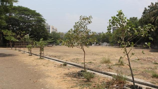 ITIs have been asked to plant trees on every barren patch on their campuses.(HT file)