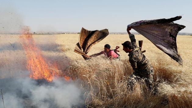 Kurdish fighters from the People's Protection Units (YPG) extinguish a fire in a wheat field burned during clashes with Islamic State militants in Raqqa, Syria, June 15, 2017. (Goran Tomasevic/REUTERS) Kurdish fighters from the People's Protection Units (YPG) extinguish a fire in a wheat field burned during clashes with Islamic State militants in Raqqa, Syria, June 15, 2017. (Goran Tomasevic/REUTERS)