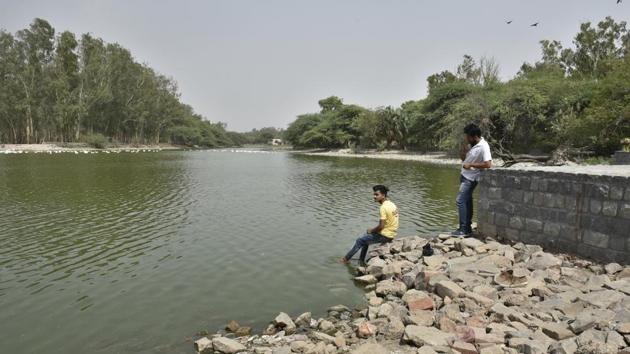 Sanjay Jheel in Mayur Vihar has been partially revived by the authorities. It has now become a favourite hangout for the local residents. It also attracts several birds and aquatic animals.(Sushil Kumar/HT Photo) Sanjay Jheel in Mayur Vihar has been partially revived by the authorities. It has now become a favourite hangout for the local residents. It also attracts several birds and aquatic animals.(Sushil Kumar/HT Photo)