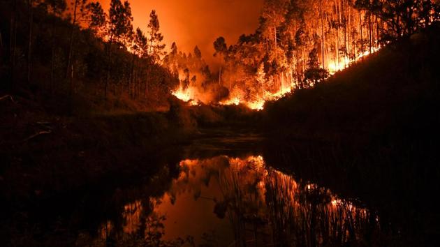 Raging forest fires in central Portugal killed at least 62 people, with more than 1,000 firefighters still struggling to control the fire. Dry thunderstorms have been suspected to be the cause of the fatal blaze, although official reports are still awaited. The government has declared 3 days of national mourning in what is considered to be the worst human tragedy in Portugal’s recent history. (AFP)
