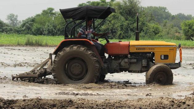 A field being prepared for paddy near Amritsar. (Nancy Sohal/HT)