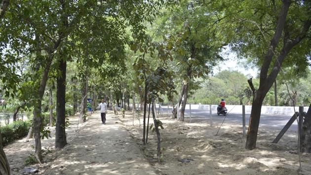 The GDA said there will be no concretized construction on the green belt and non-cemented pathways will be prepared. (Sakib Ali/HT Photo) The GDA said there will be no concretized construction on the green belt and non-cemented pathways will be prepared. (Sakib Ali/HT Photo)