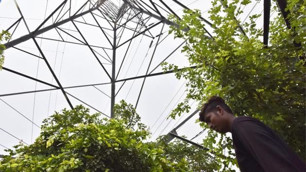 The youth had hung himself with a towel from the tower in the Sector 38 green belt on Tuesday. (Sanjeev Verma/HT PHOTO) The youth had hung himself with a towel from the tower in the Sector 38 green belt on Tuesday. (Sanjeev Verma/HT PHOTO)
