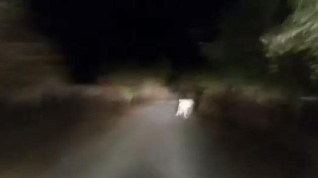 Screenshot from video Screenshot from video