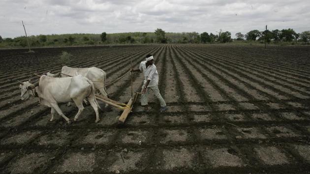 The Marathwada and Vidarbha regions of the state are traditionally known as the ‘suicide belts’ due to a large number of suicides by farmers reported in these areas over years. (HT File Photo) The Marathwada and Vidarbha regions of the state are traditionally known as the ‘suicide belts’ due to a large number of suicides by farmers reported in these areas over years. (HT File Photo)