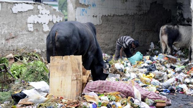 The authority will also look at scientific methods of waste disposal to address sanitation issues. (Sunil Ghosh/HT Photo) The authority will also look at scientific methods of waste disposal to address sanitation issues. (Sunil Ghosh/HT Photo)