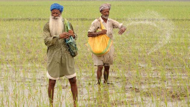 The Capt Amarinder Singh government has opened a Pandora’s box on debt waiver, with the farmers and labourers who have been left out already up in arms. (HT File) The Capt Amarinder Singh government has opened a Pandora’s box on debt waiver, with the farmers and labourers who have been left out already up in arms. (HT File)