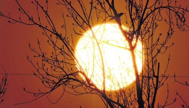 Nature knows well that colours are mixed with the hearts and we see it around us all the time, even at sunset. (HT File) Nature knows well that colours are mixed with the hearts and we see it around us all the time, even at sunset. (HT File)
