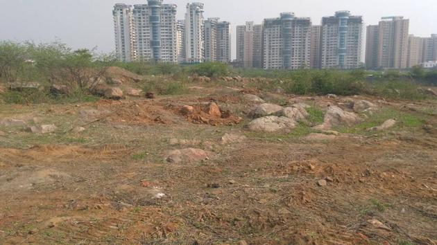 The 52-acre plot at Sarai Khwaja in Faridabad district where 10,000 trees were chopped. (HT PHOTO) The 52-acre plot at Sarai Khwaja in Faridabad district where 10,000 trees were chopped. (HT PHOTO)
