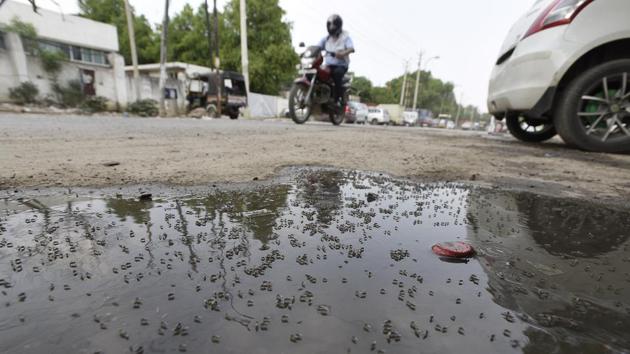 A total of 113 cases of malaria have been recorded since January this year by the corporations, of which 70 are from Delhi. This is higher than the number of malaria cases recorded during the same period in previous years. (Sanjeev Verma/HT PHOTO) A total of 113 cases of malaria have been recorded since January this year by the corporations, of which 70 are from Delhi. This is higher than the number of malaria cases recorded during the same period in previous years. (Sanjeev Verma/HT PHOTO)